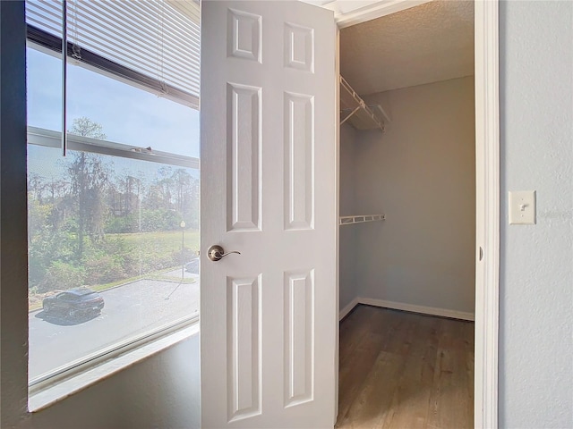 walk in closet with hardwood / wood-style floors