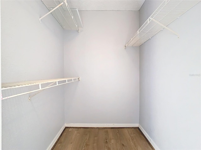 spacious closet featuring hardwood / wood-style flooring