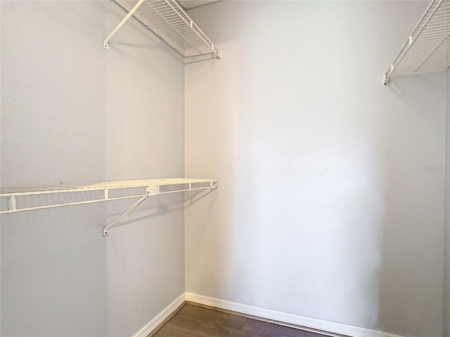 spacious closet with dark wood-type flooring