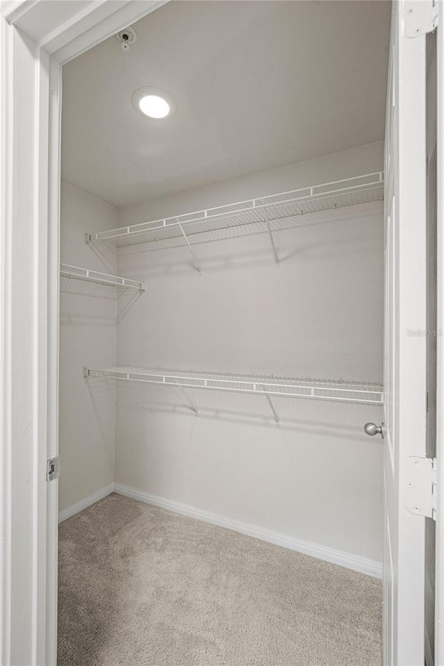 spacious closet with carpet