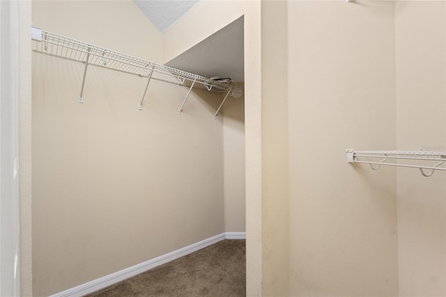 980 Crestwood Commons Ave, Ocoee, FL 34761 - walk in closet with carpet floors