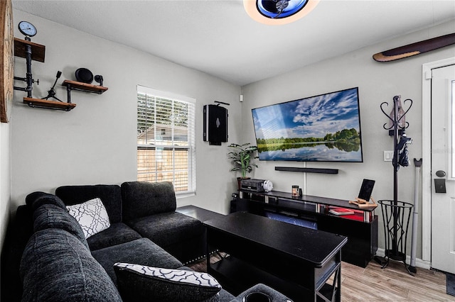 living room with hardwood / wood-style floors