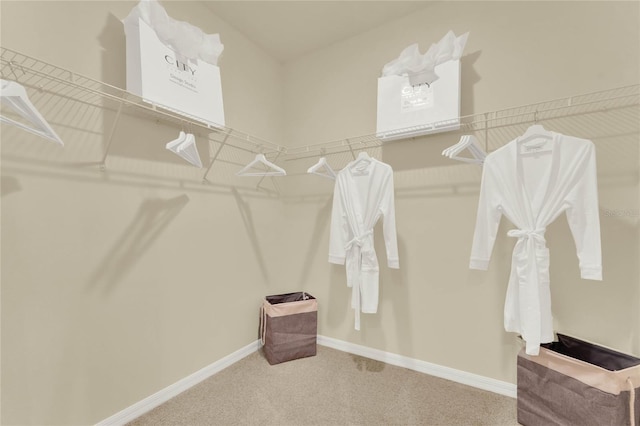 5879 Galloping Dr, Apopka, FL 32712 - walk in closet with carpet floors