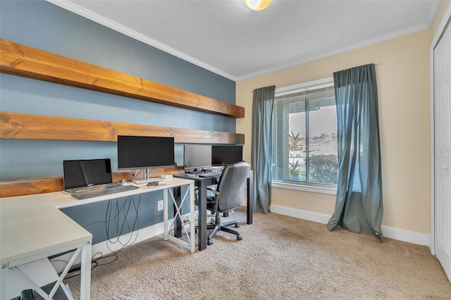 carpeted office featuring crown molding