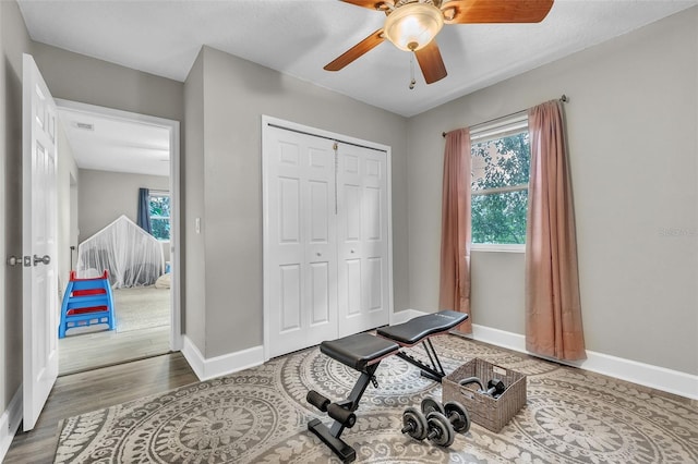 workout area featuring hardwood / wood-style floors and ceiling fan