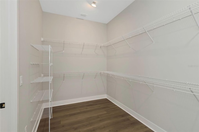 spacious closet featuring dark hardwood / wood-style floors