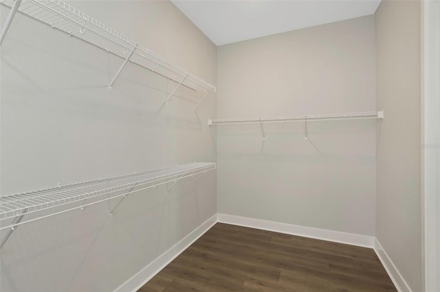 walk in closet featuring dark hardwood / wood-style flooring