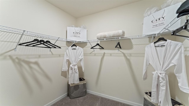 spacious closet with carpet flooring