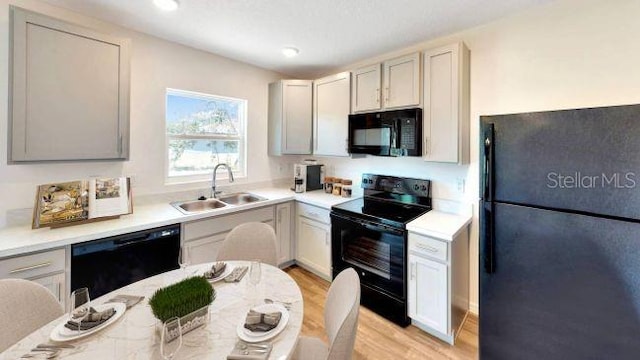 kitchen with light hardwood / wood-style floors, sink, and black appliances