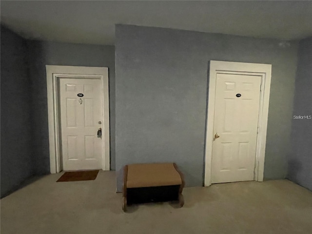 interior space with carpet flooring