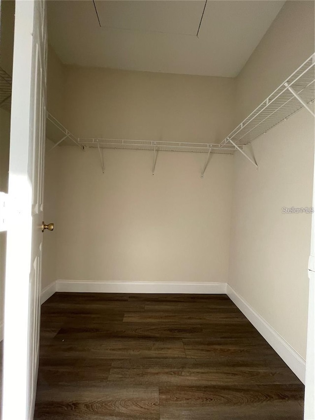 spacious closet with dark wood-type flooring