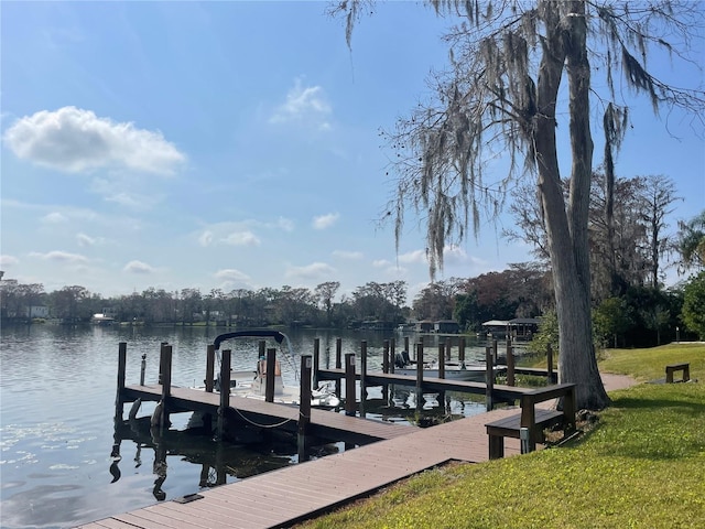 dock area with a water view