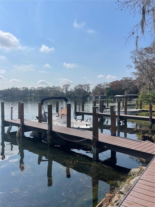 dock area with a water view