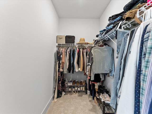 spacious closet with carpet