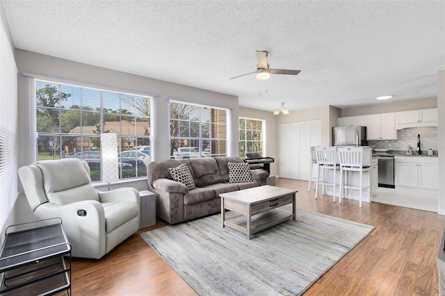 living room featuring ceiling fan, wood-type flooring, sink, and a textured ceiling