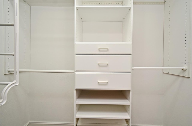 view of spacious closet