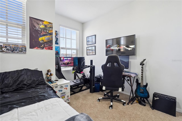 bedroom with light carpet