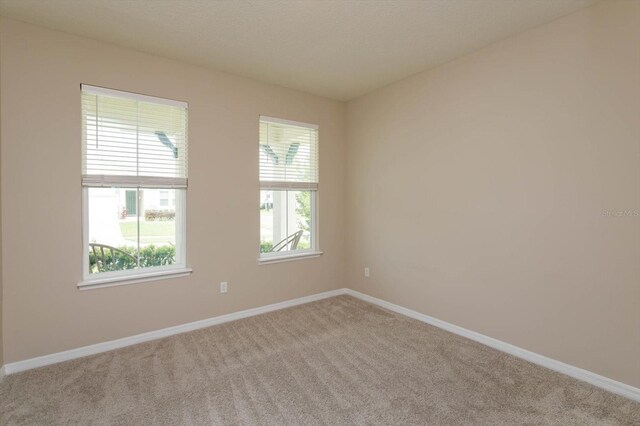 14436 Topaghan Way, Winter Garden, FL 34787 - photo 18