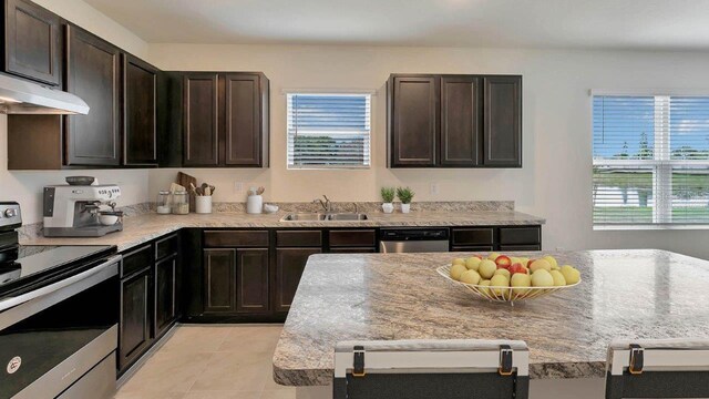 kitchen featuring sink, dark brown cabinets, stainless steel appliances, and plenty of natural light