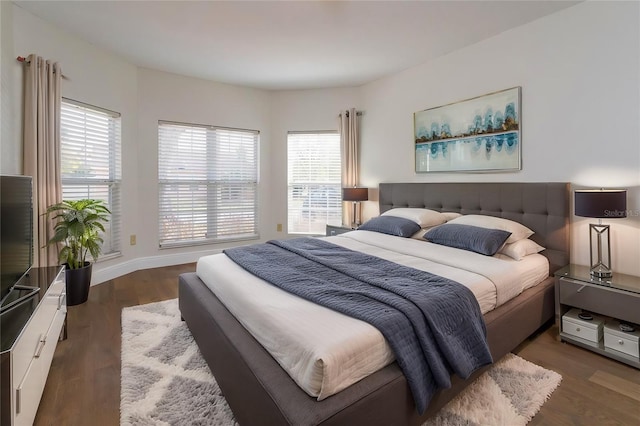 bedroom featuring multiple windows and dark hardwood / wood-style floors