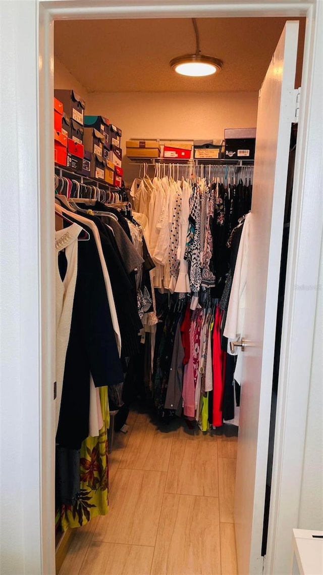 view of spacious closet