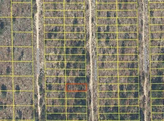 Address Not Disclosed, Hawthorne FL, 32640 land for sale