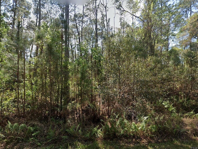 412 Dogwood Ave, Georgetown FL, 32139 land for sale