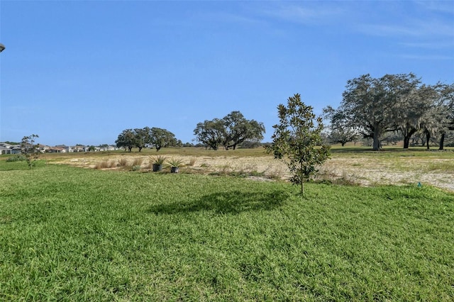 view of yard with a rural view