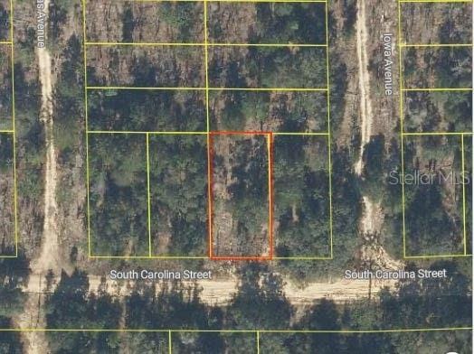 394 S Carolina St, Hawthorne FL, 32640 land for sale