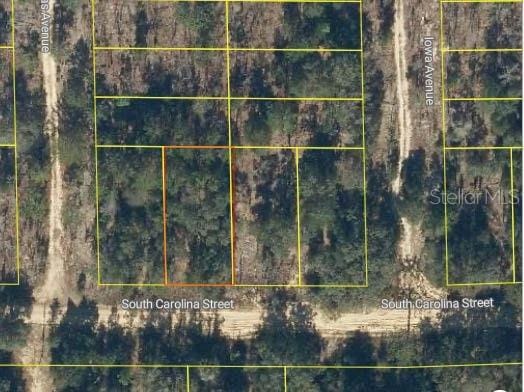 398 S Carolina St, Hawthorne FL, 32640 land for sale