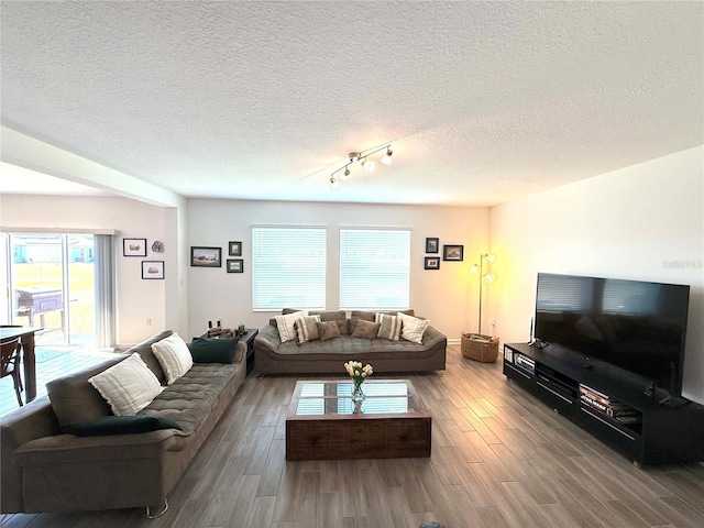 living room featuring wood-type flooring and a textured ceiling