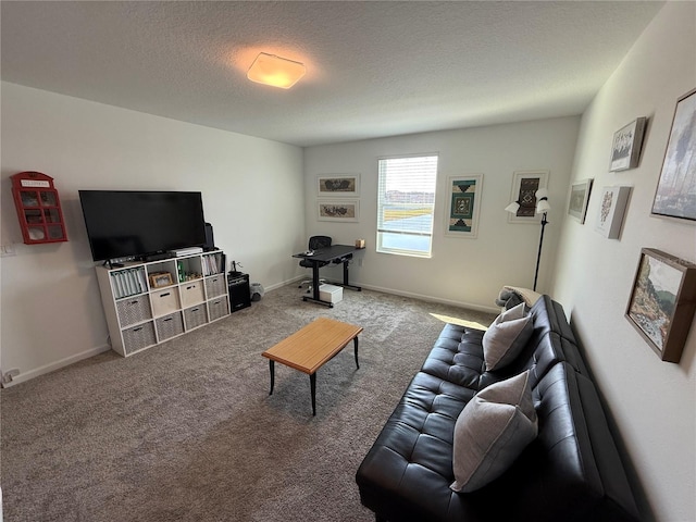 living room featuring carpet and a textured ceiling