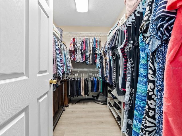 spacious closet featuring light wood-type flooring