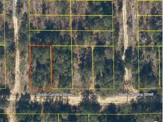 S Carolina St, Hawthorne FL, 32640 land for sale