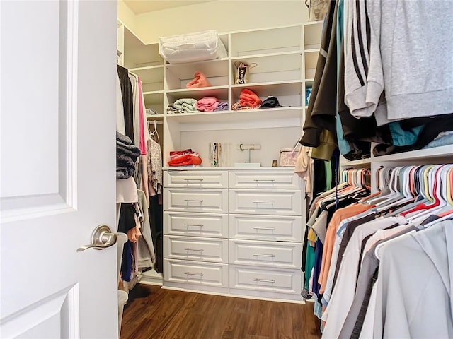 walk in closet with dark hardwood / wood-style flooring