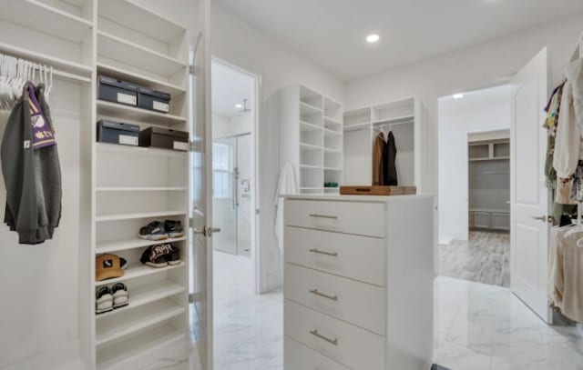 view of walk in closet