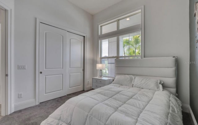 bedroom with carpet and a closet