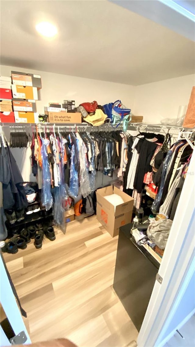 walk in closet featuring hardwood / wood-style flooring