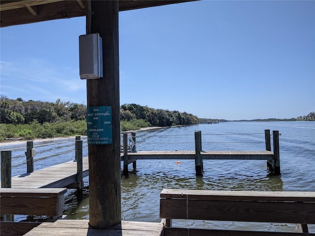 dock area with a water view