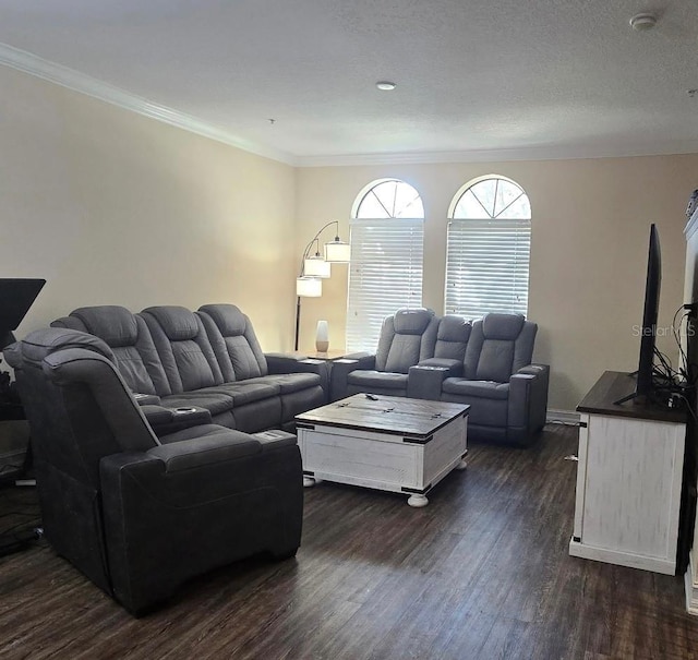 living room featuring crown molding, dark wood-type flooring, and a textured ceiling