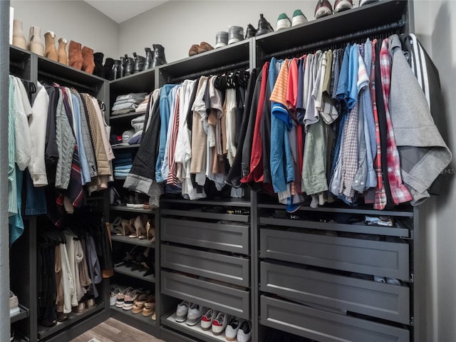 walk in closet with hardwood / wood-style flooring