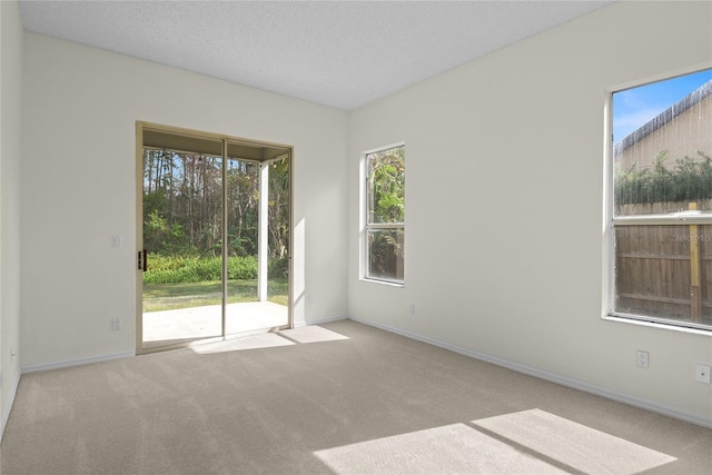 carpeted empty room with a textured ceiling