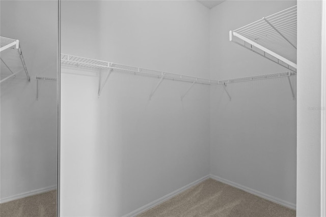 walk in closet with light colored carpet