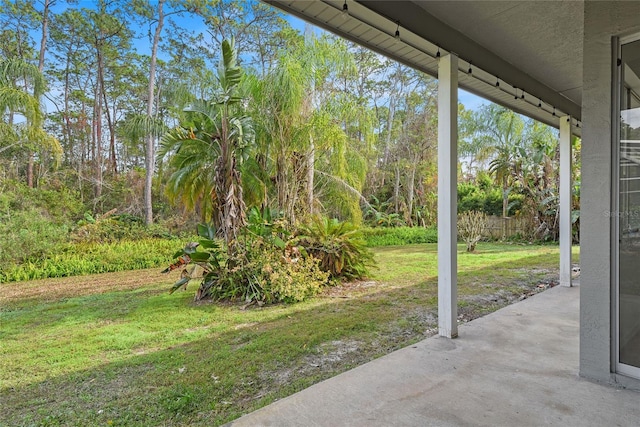 view of yard featuring a patio area