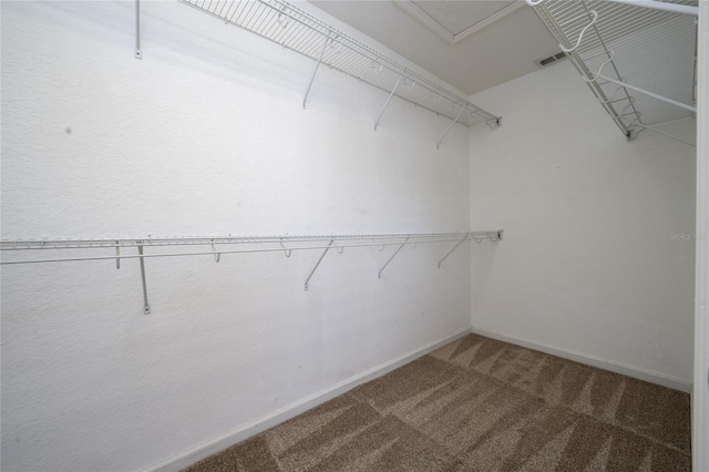 spacious closet with carpet flooring