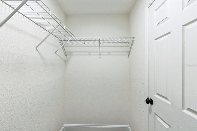 view of walk in closet