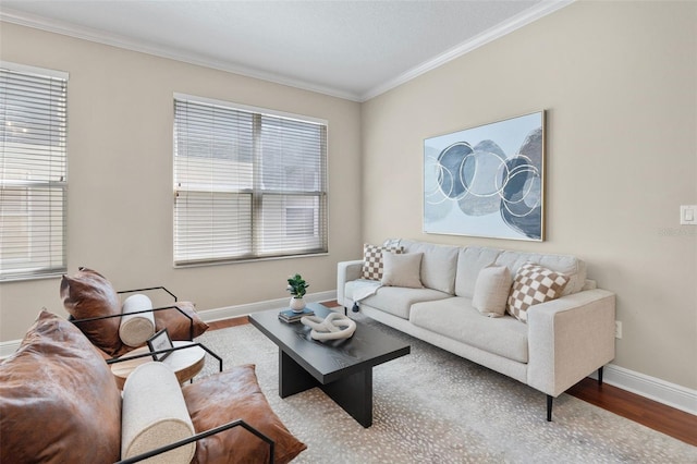 living room with crown molding and hardwood / wood-style floors