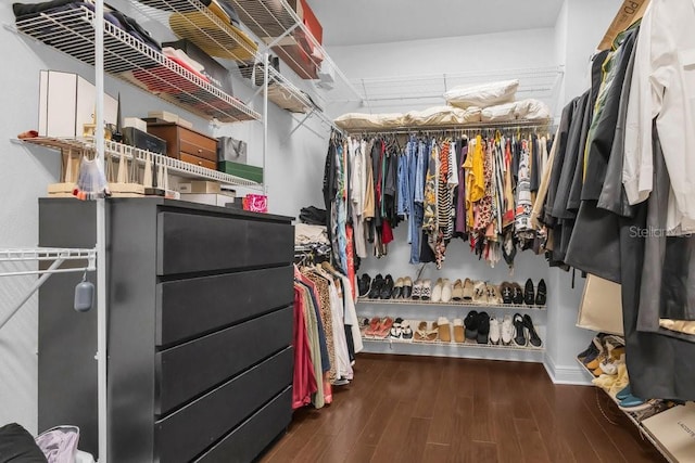 walk in closet with dark hardwood / wood-style flooring