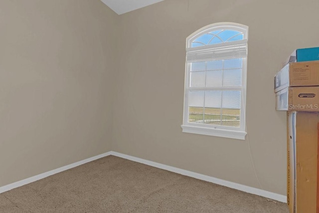 carpeted empty room with a wealth of natural light