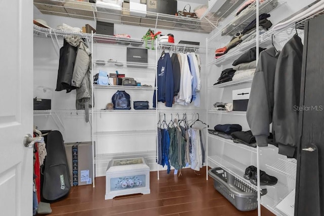 spacious closet featuring dark hardwood / wood-style flooring